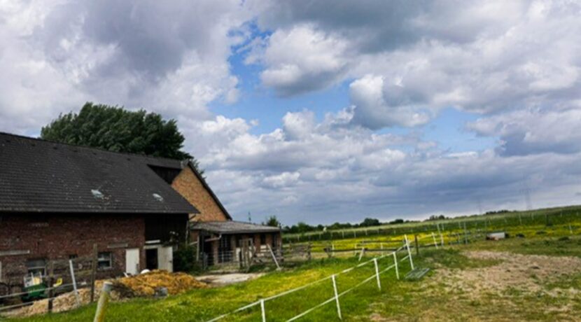 Stallansicht