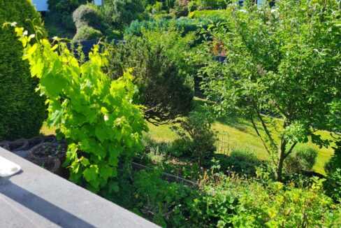 Blick in den Garten