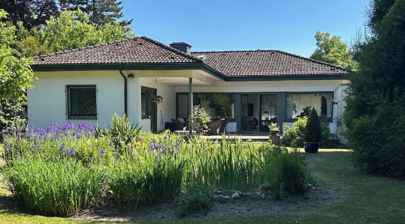 Gartenansicht mit Teich