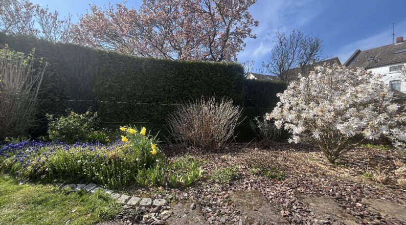 Gartenmitbenutzung möglich