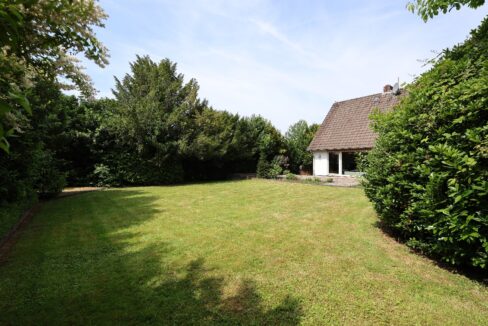Blick in den Garten