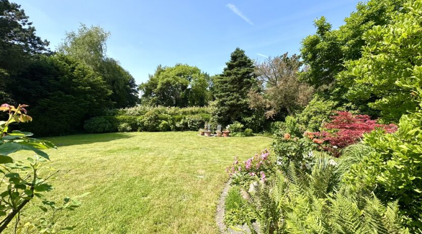 traumhafter Garten