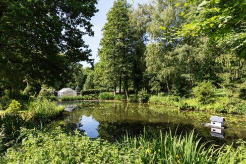 Teich im Garten