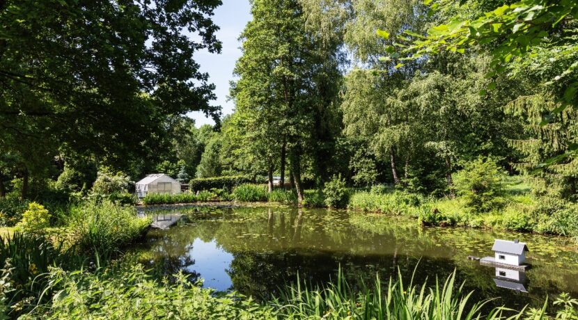 Teich im Garten