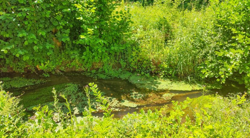 Bachlauf