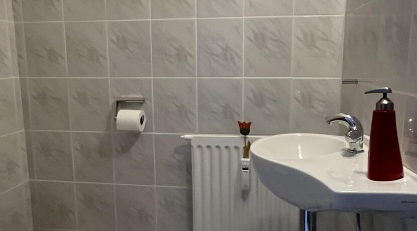 Das Gäste-WC