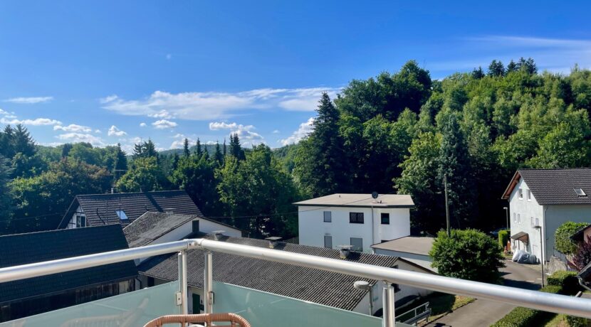 Ausblick vom Balkon