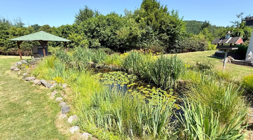 Großer Fischteich