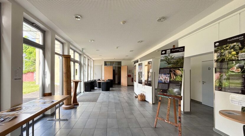 Kunstraum