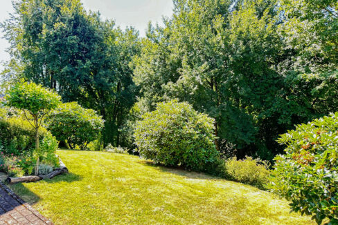 Rasenfläche hinter dem Haus