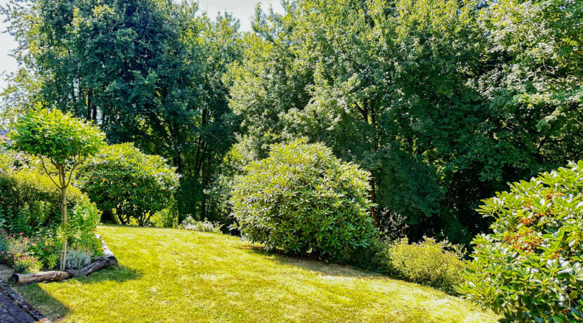 Rasenfläche hinter dem Haus