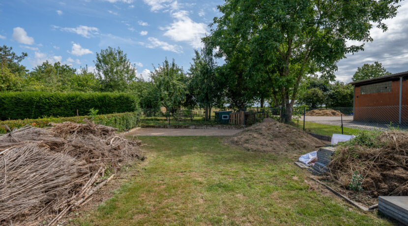 Gartenbereich 2