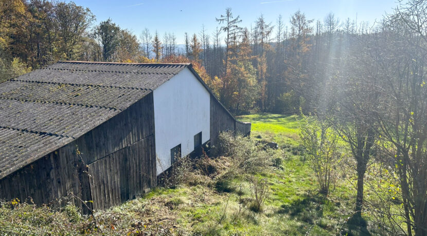 Garten / Stall