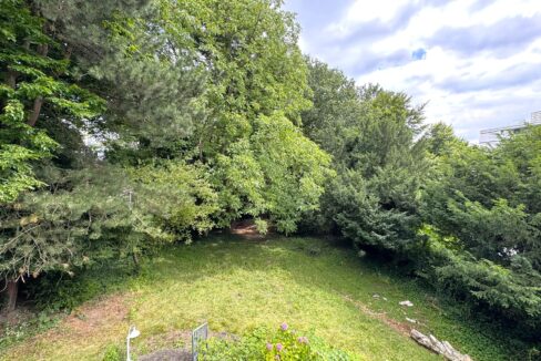 Blick in den Garten