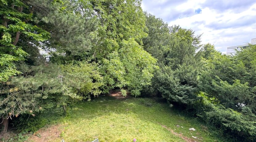Blick in den Garten