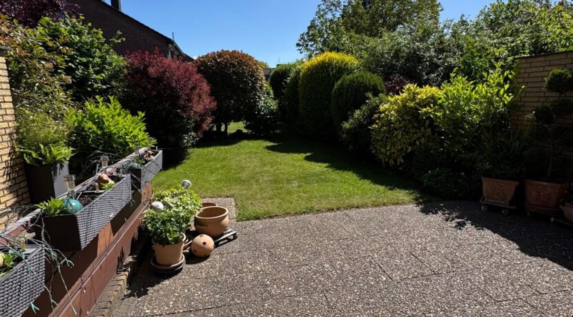 Blick in den Garten