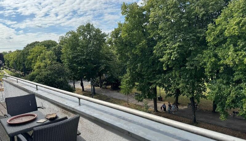 Ausblick