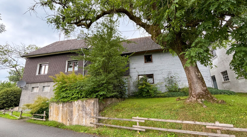 Rückansicht