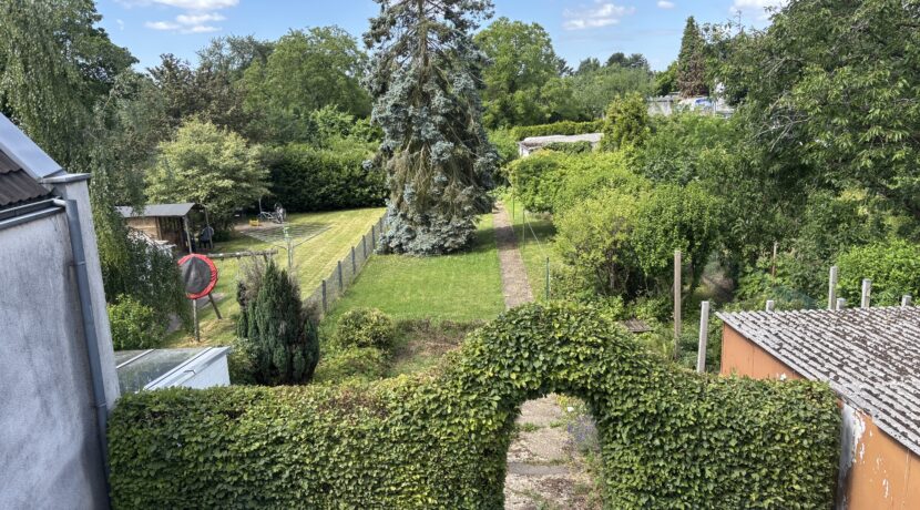 Blick in den Garten
