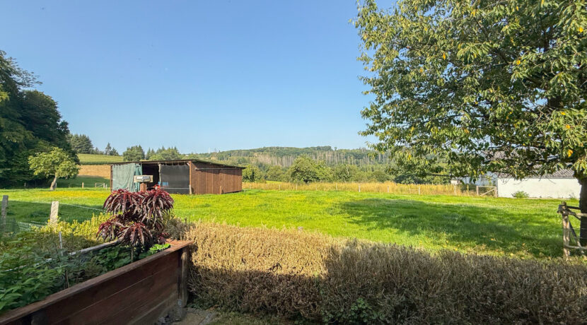 Blick vom Grundstück
