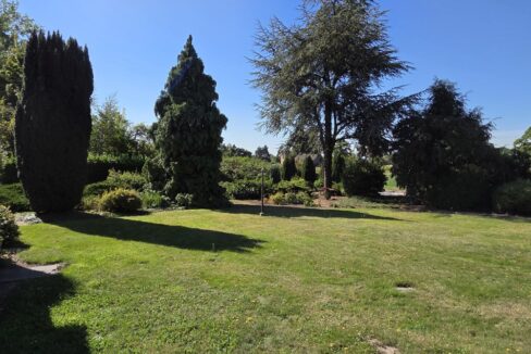 Blick in den Garten