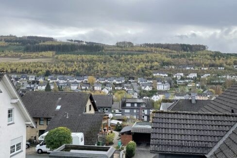 Aussicht vom Balkon und Wohnzimmer