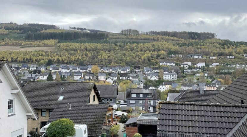 Aussicht vom Balkon und Wohnzimmer