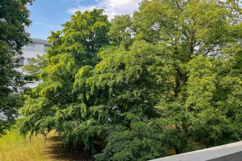 Aussicht auf die ruhige Natur