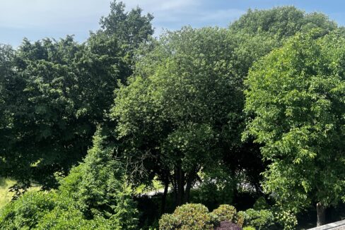 Grünblick