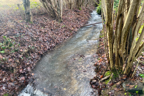 Bachlauf hinterm Haus