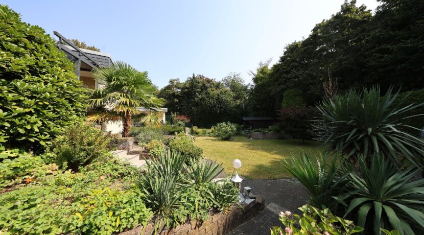 Blick in den Garten