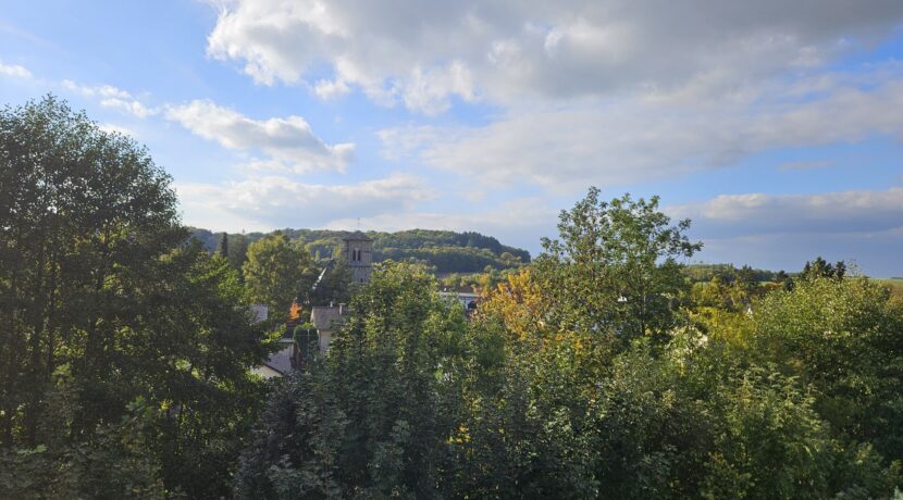 Ausblick