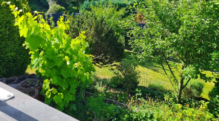 Blick in den Garten