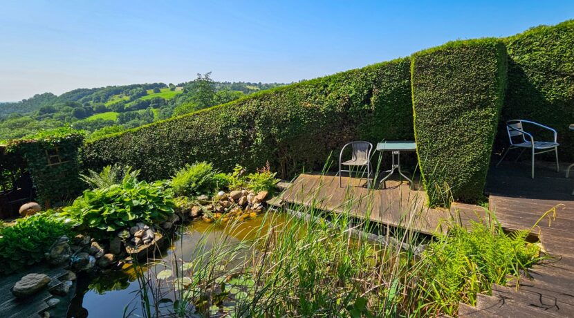 Garten mit Teich