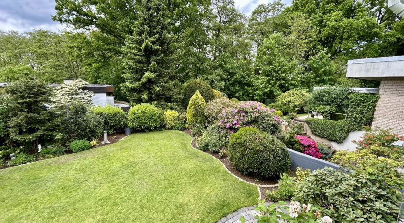 Blick in den Garten