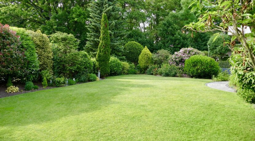 weitere Gartenansicht