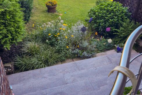 Blick in den Garten