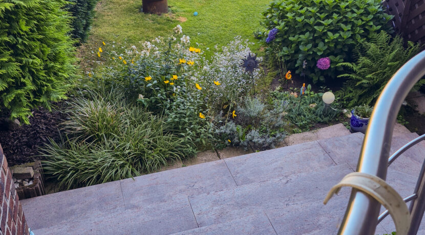 Blick in den Garten
