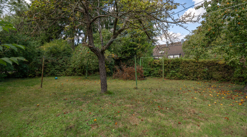 Gartenbereich 2
