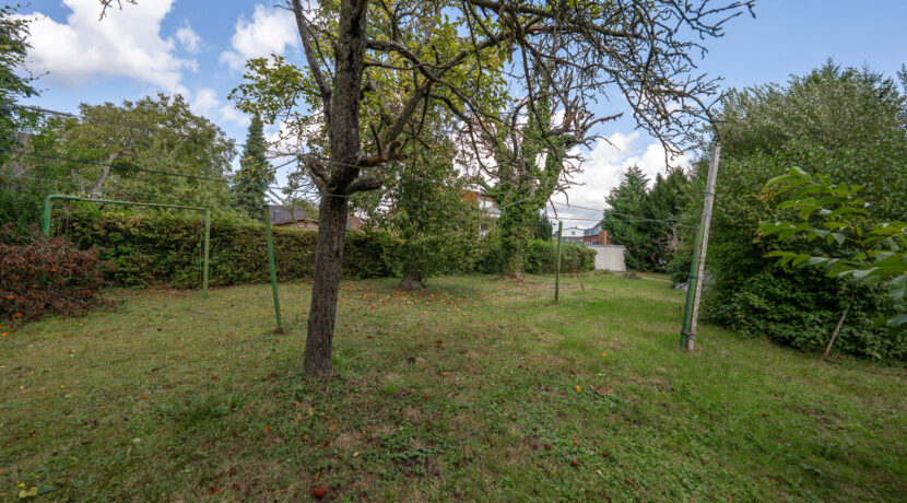 Gartenbereich 3