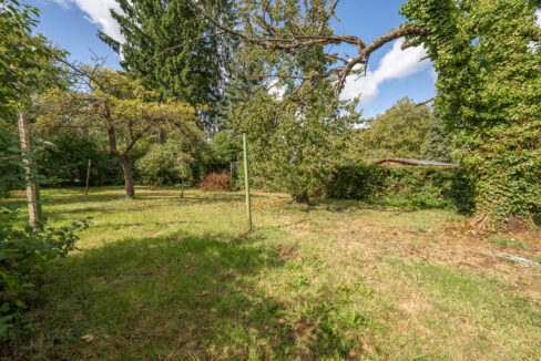 Gartenbereich 5