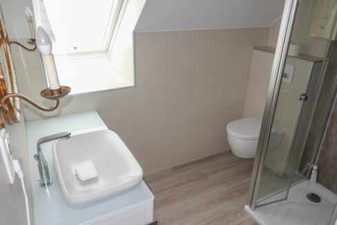 Das moderne Tageslichtbad mit Dusche