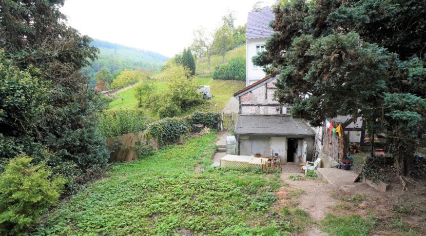 Blick in den Hausgarten