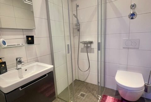 Gäste-WC mit ebenerdiger Dusche