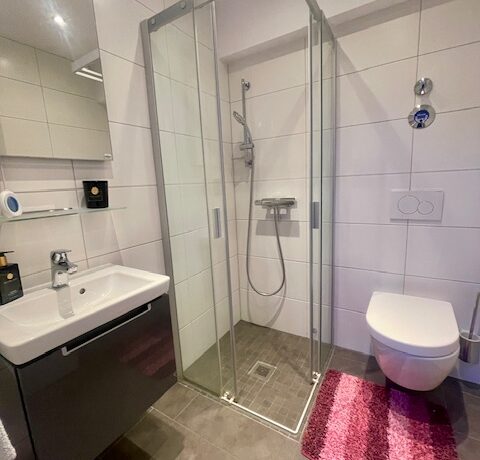 Gäste-WC mit ebenerdiger Dusche