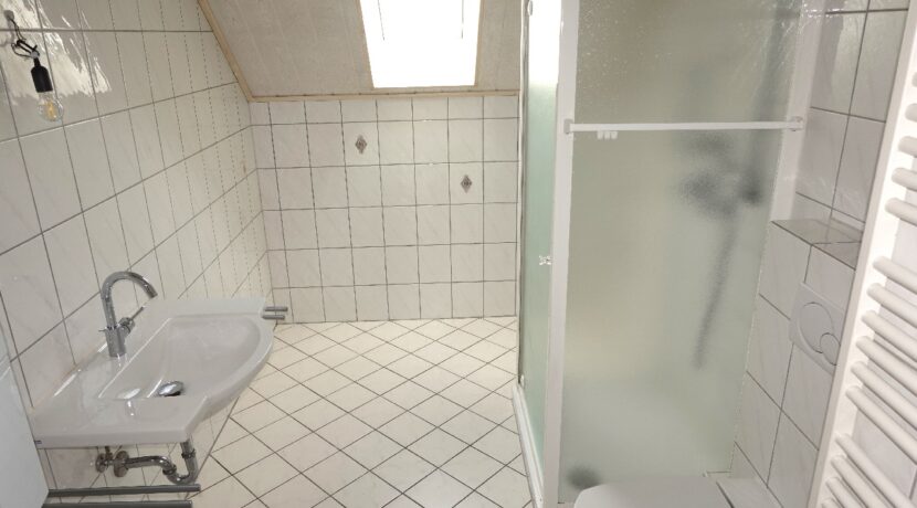 Tageslichtbad mit Dusche