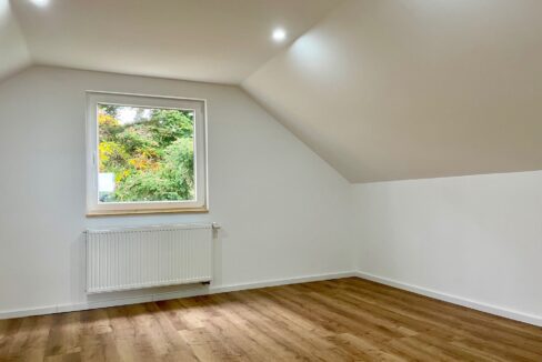 Studio (DG)