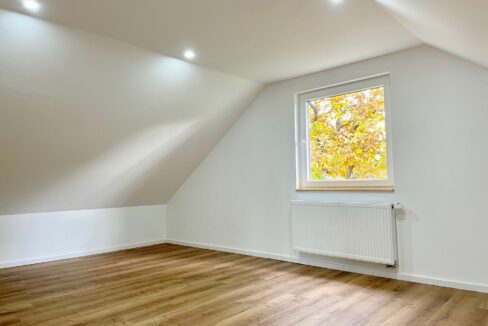 Studio (DG)