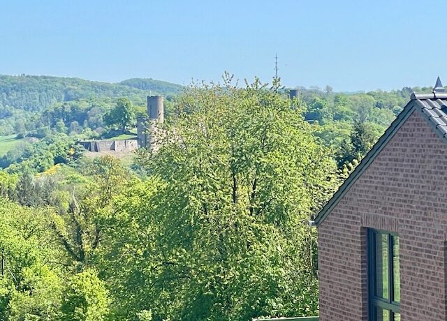 Haushälfte 2 Blick vom Balkon Richtung Blankenberg
