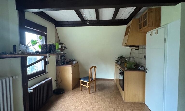 Kleines Gästeapartment mit Wohn/- Küchenbereich und